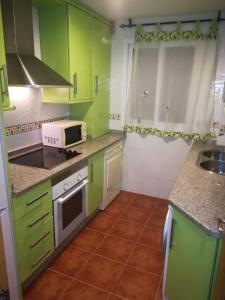 拉斯加比亚斯Apartamento Pergar II Alojamiento para empresas-WIFI 4 Personas的一间厨房,配有绿色的橱柜和微波炉