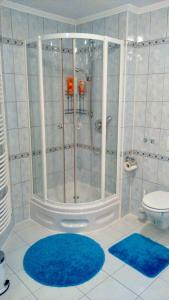 弗罗伊登施塔特Schwarzwald Appartment的带淋浴的浴室和2个蓝色地毯。