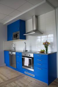 Lannavaara兰娜瓦拉酒店的厨房配有蓝色橱柜和水槽