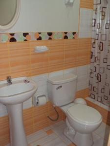 纳斯卡纳斯卡旅舍的浴室配有白色卫生间和盥洗盆。
