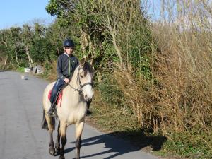 莱特弗拉克Heatherhill Farm Cottage in Letterfrack beside Connemara National Park的骑着马沿着公路的人