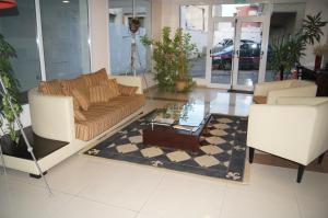 里奥加耶戈斯艾尔巴塔哥尼亚酒店的客厅配有沙发和桌子