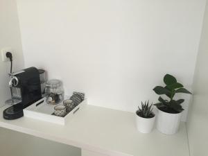 安特卫普Antwerp Town House Accommodations的咖啡壶和植物台面