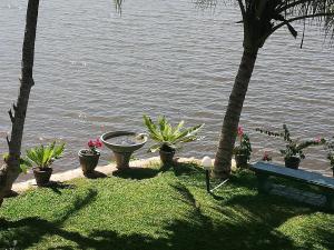 本托塔Mahi Villa的花园,花园内种有植物,旁边设有长凳