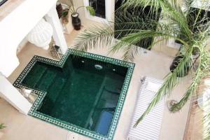 马拉喀什Riad SHIRAZ的享有游泳池的顶部景色,游泳池拥有棕榈树