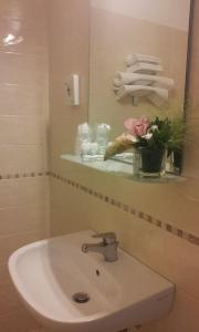比萨阿斯特酒店的浴室水槽,配有镜子和花瓶