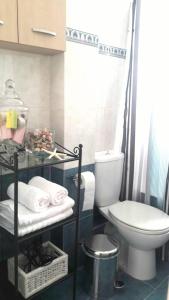 斯巴达Luxury Apt Near The Airport的一间带卫生间的浴室和一个带毛巾的架子