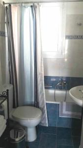 斯巴达Luxury Apt Near The Airport的浴室配有卫生间、淋浴和盥洗盆。