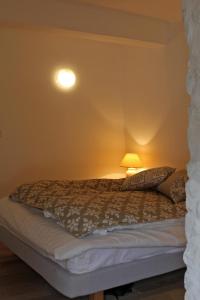 巴尔日蒙Beautiful townhouse in Bargemon的一间卧室配有一张床,上面有灯
