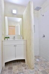 ẔofarArt House的白色的浴室设有水槽和淋浴。