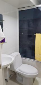 伊基克Mini Loft的一间带卫生间、水槽和窗户的浴室
