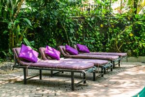 乌纳瓦图纳塔巴派尼度假酒店的一张长凳上摆着紫色枕头