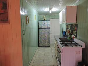 美洲花园Cabañas Piedras Blancas的厨房配有粉色炉灶和冰箱