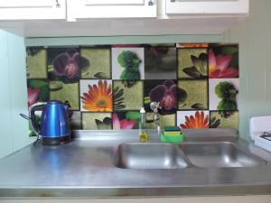 美洲花园Cabañas Piedras Blancas的厨房水槽,墙上有花砖