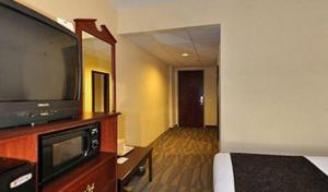 杜威海滩杜威金叶酒店的配有一张床和一台平面电视的酒店客房