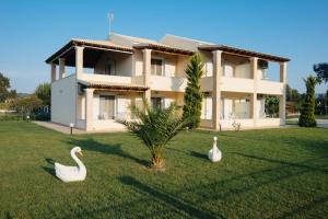 斯达林Villa Agiolina的两只白天鹅在房子前