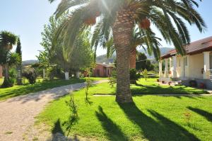 阿尔米罗斯海滩自由公寓的房子旁的院子中的棕榈树