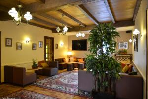 圣让德莫里耶讷圣特乔治酒店的带沙发和地毯的大型客厅