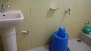 吉大港Hotel Regal Palace的浴室设有淋浴,水槽旁边是蓝色容器