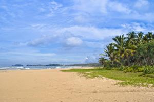 本托塔Sahana Sri Villa的棕榈树和海洋的沙滩