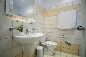 纳克索乔拉阿德里安尼酒店的一间带卫生间和水槽的浴室