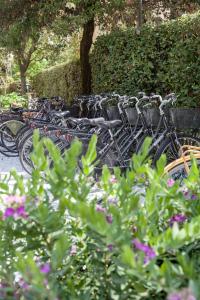 马尔米堡Hotel Franceschi的彼此相邻的自行车