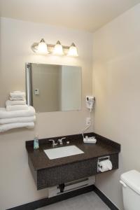 温莎大瀑布Hotel Robin Hood的一间带水槽和镜子的浴室