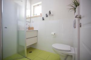 耶鲁姆Tslil Suite的一间带卫生间和玻璃淋浴间的浴室