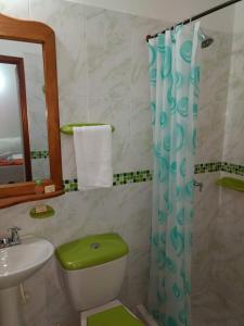 莱瓦镇Apartahotel La Gran Familia的浴室配有绿色卫生间和水槽。