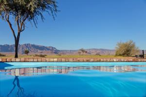 沙漠营地酒店内部或周边的泳池