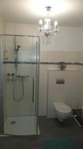 施特劳宾Apartments Am Spitalthor的带淋浴和卫生间的浴室以及吊灯。
