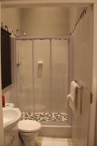 昆斯敦Tranquil House B&B 10 Berry St的带淋浴、卫生间和盥洗盆的浴室