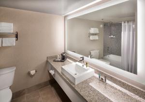 里诺德洛瑟柯斯瑟柯斯里诺赌场酒店的一间带水槽、卫生间和镜子的浴室