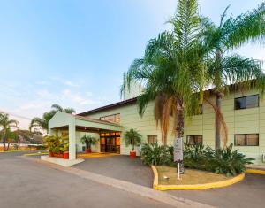 雅瓜里乌纳马蒂兹吉安瓜那酒店的一座棕榈树建筑