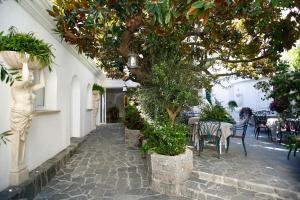 卡尔维木兰花酒店的庭院配有桌椅和一棵树。