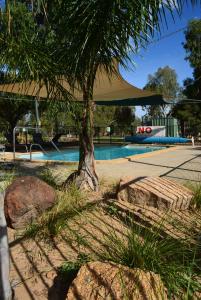 亚勒旺加Yarrawonga Riverlands Tourist Park的一座棕榈树游泳池和一座建筑