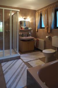 菲尔根Gästehaus Kratzer的带淋浴、卫生间和盥洗盆的浴室