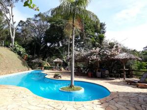 康塞高伊比蒂波卡Repousada Chalés的游泳池中间的棕榈树