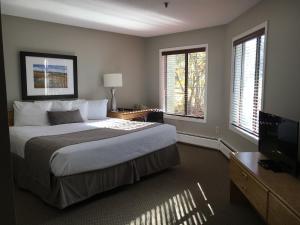 基灵顿北星旅馆度假村的一间卧室配有一张床和一台平面电视
