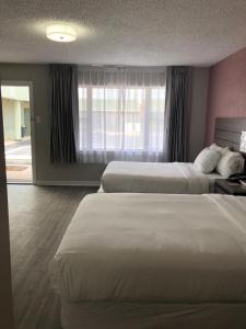 阿比林Econo Lodge Inn & Suites的酒店客房设有两张床和窗户。