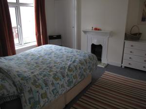 班戈北爱尔兰Simon's Cosy House的一间卧室配有一张床和一个壁炉