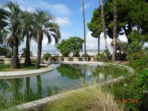 戛纳Palm beach Cannes Azur的棕榈树公园的池塘