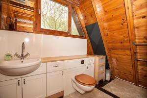 Grafham格拉弗姆水上山林小屋的一间带水槽和卫生间的浴室以及窗户。