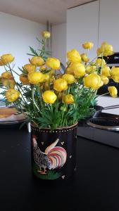 Eggiwilb&b krättli的花瓶,在柜台上满是黄色花