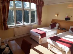 伊利尼通旅馆的酒店客房设有两张床和一张桌子。