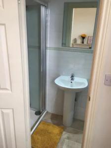 约克The Leeman Rose的一间带水槽、淋浴和镜子的浴室