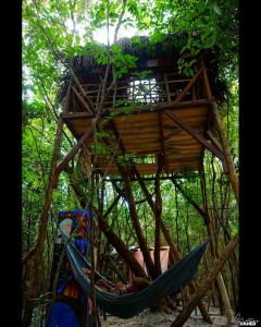皮帕Lagarto Na Banana Hostel的森林中带吊床的树屋