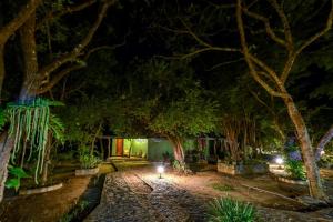 哈伯勒内蓝鸟旅游度假酒店的花园,有树木和灯光