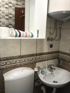 尼克希奇Apartments & Camp Stanišić的一间带卫生间、水槽和镜子的浴室