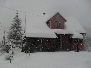 MoraviceApartman Anika的圣诞树旁的雪地房子